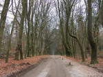 Mosbeekweg
